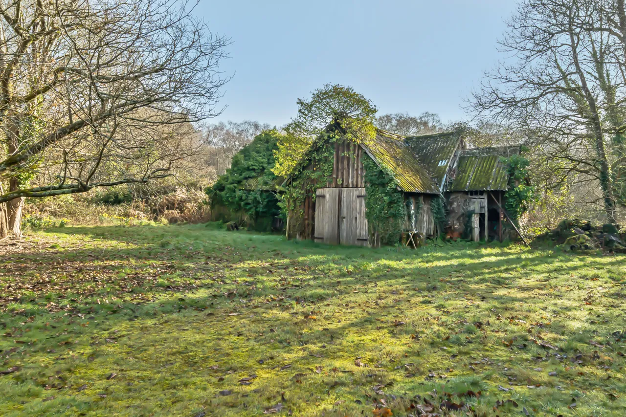 Sherfield English, Romsey, SO51, photo 3
