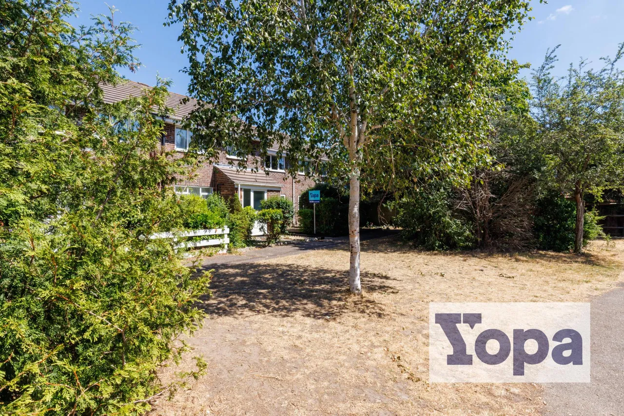 Braishfield Gardens, Bournemouth, BH8, photo 24