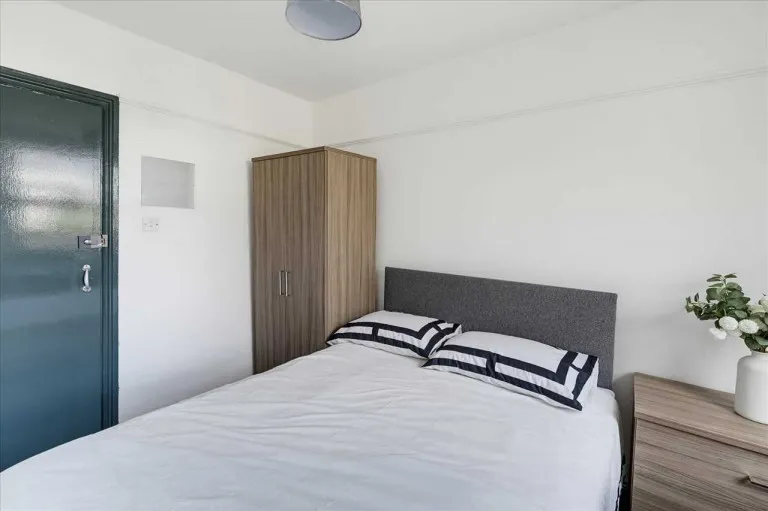 North Road East, Plymouth, PL4, photo 16
