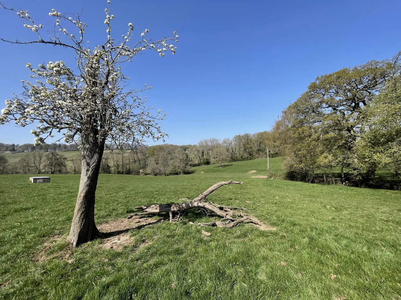 Broad Oak, HR2 8RA, photo 9