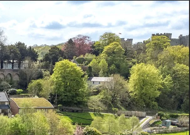 Linney, Ludlow, Shropshire, SY8 1EE, photo 11