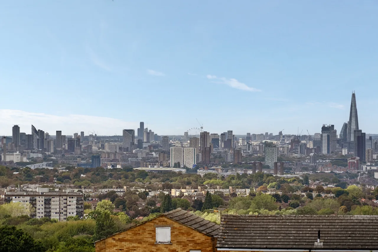 Cleanthus Road, SE18, photo 15