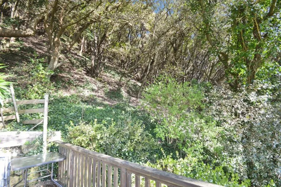 Mitchell Avenue, Ventnor, PO38, photo 17