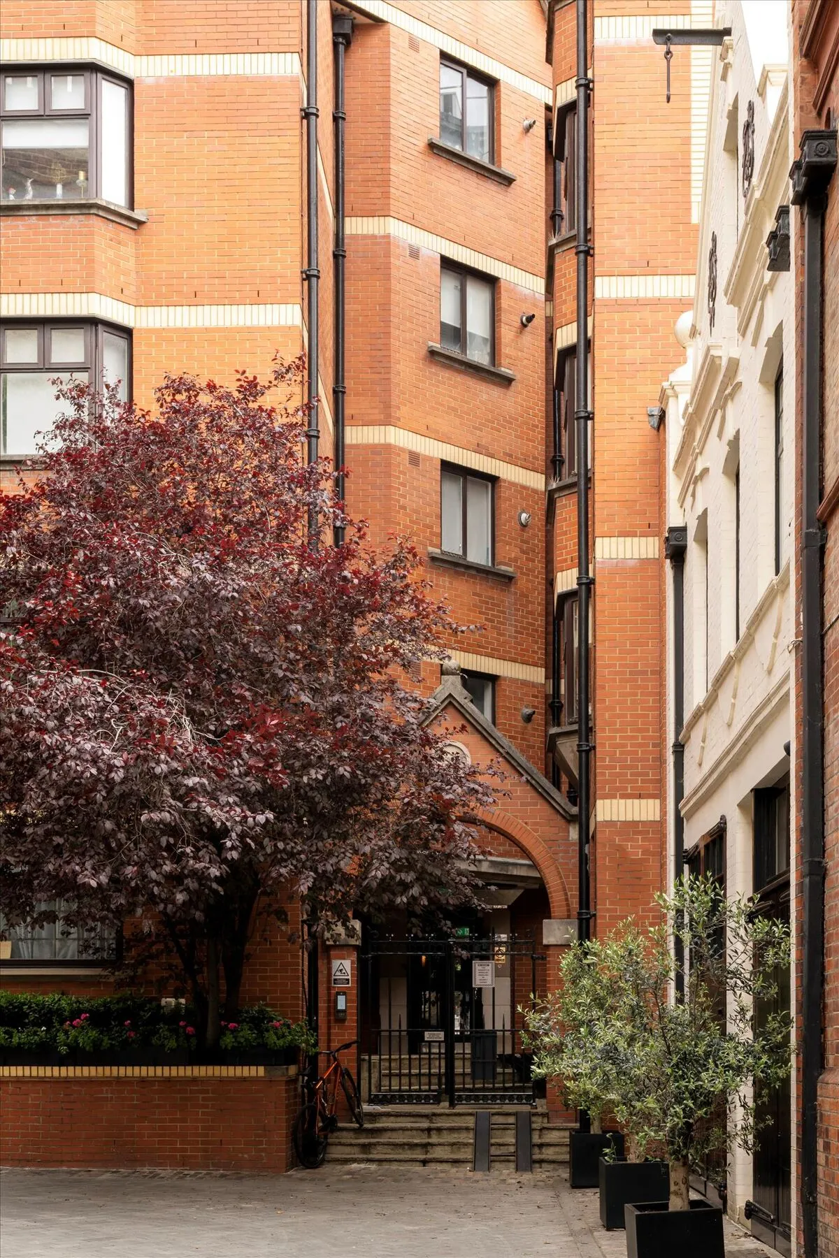 Bourdon Street, London, W1K, photo 18