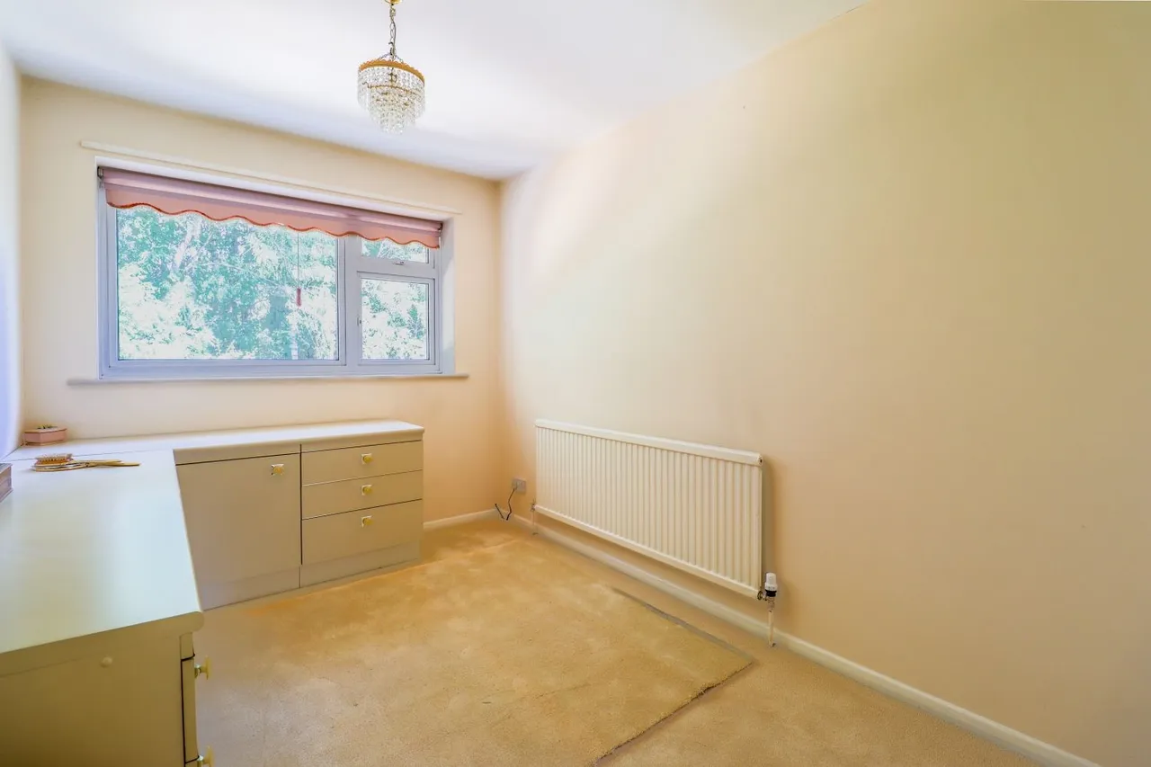John Street, North Wingfield, S42, photo 14