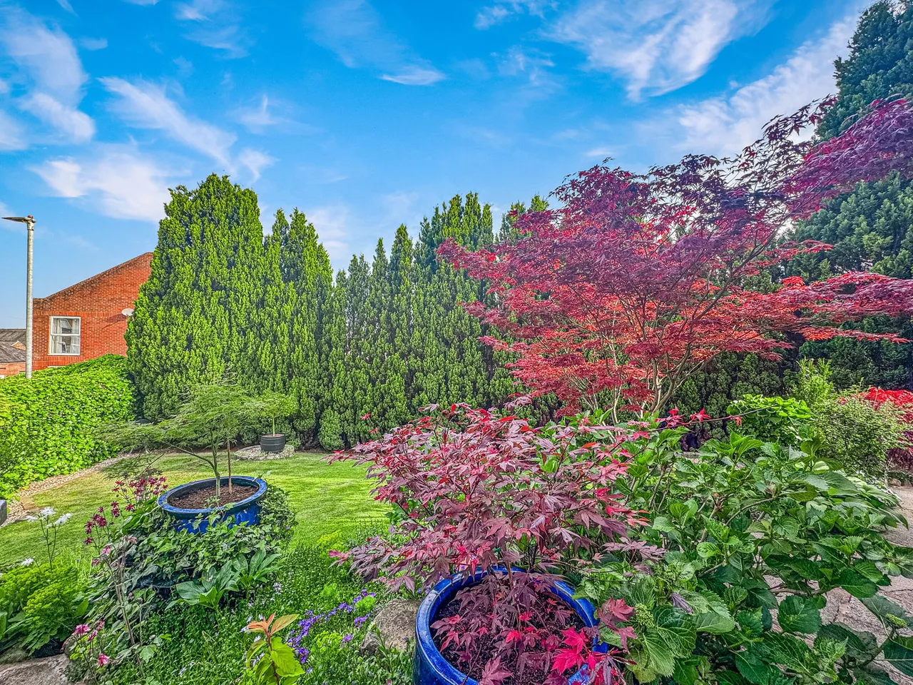 Showfield, Brampton, CA8, photo 6
