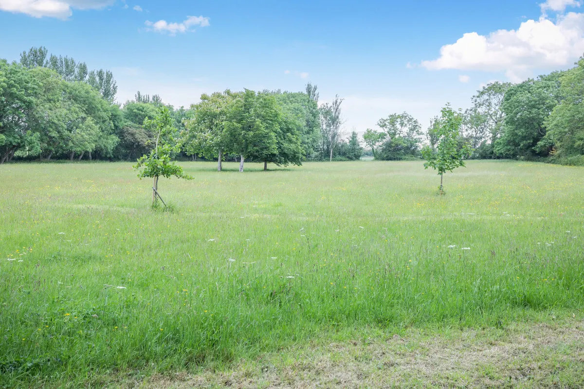 Rectory Way, Lympsham, BS24, photo 48