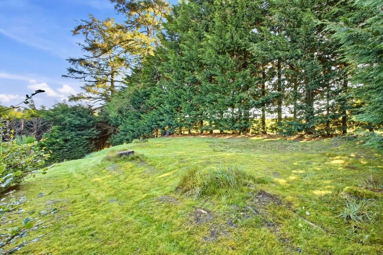 Kittochside Road, Carmunnock, G76, photo 25