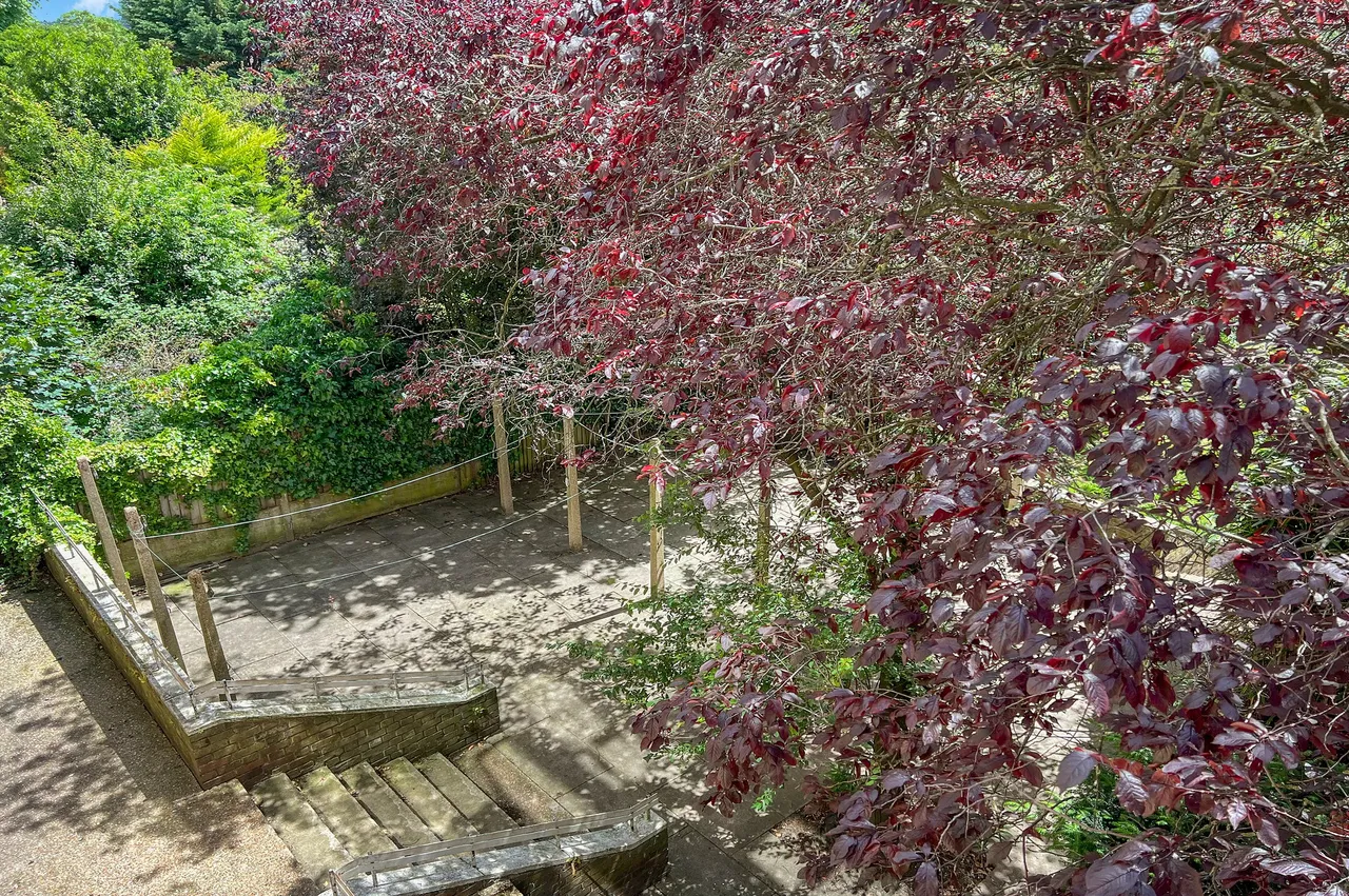 St German's Road, Forest hill, SE23 1RX, photo 10