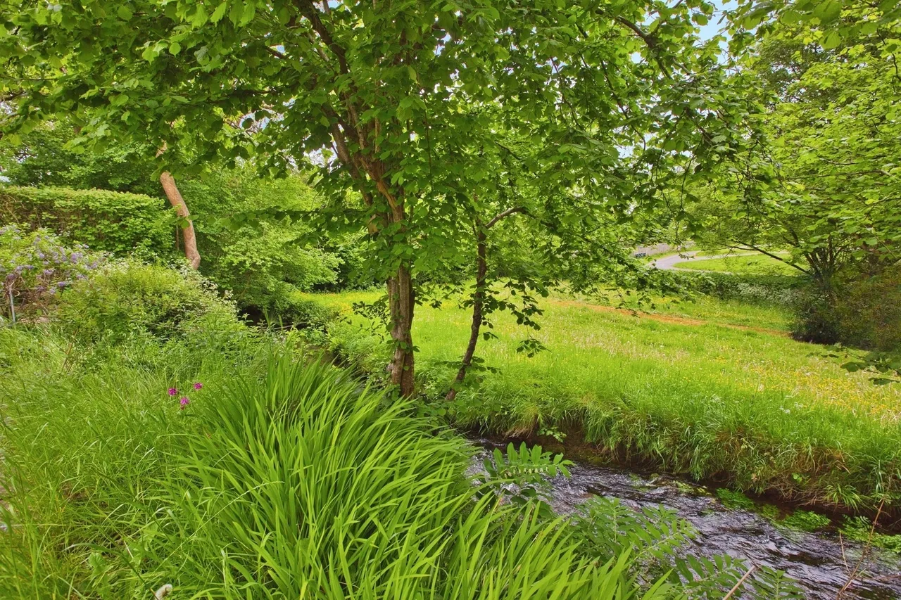 Homestead Park, Wookey Hole, BA5, photo 18