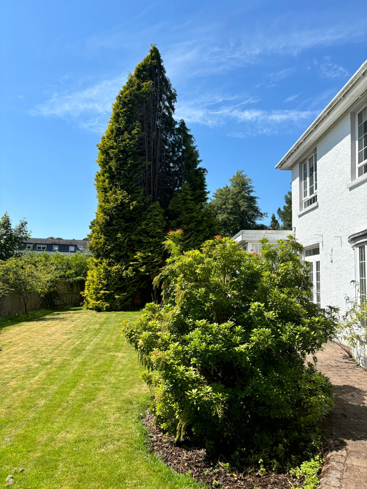 Pier Road, Rhu, G84, photo 37