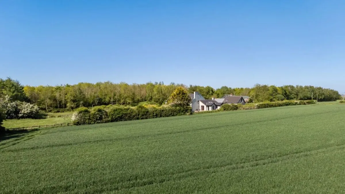Lisbarnet Road, Lisbane, BT23, photo 80