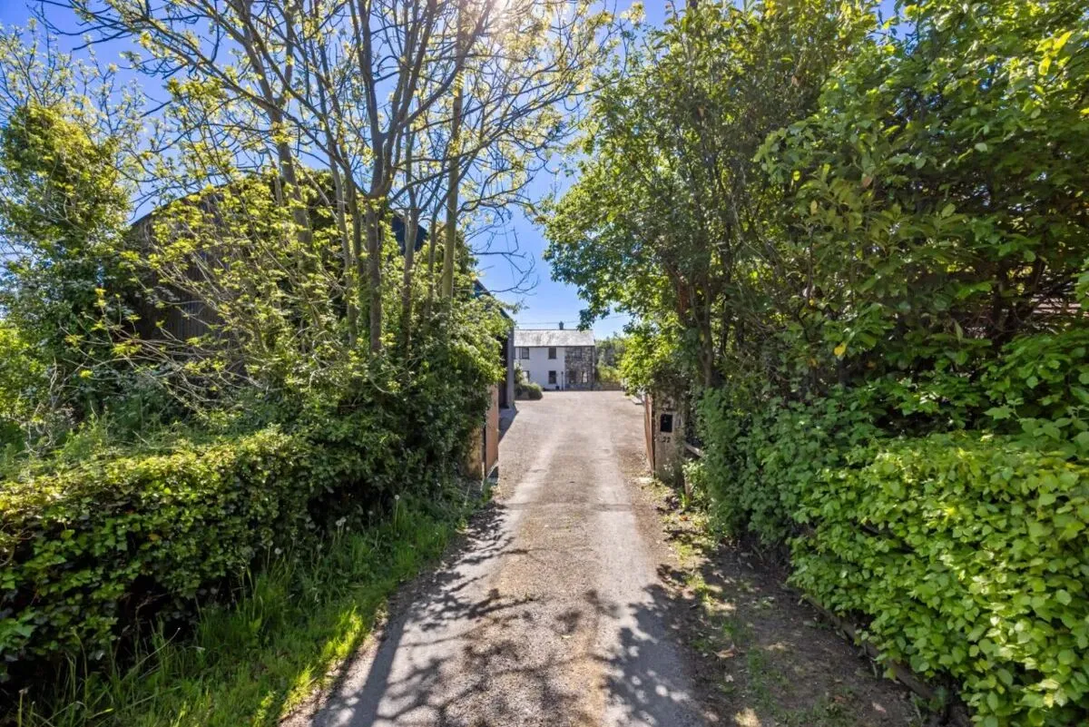 Lisbarnet Road, Lisbane, BT23, photo 74