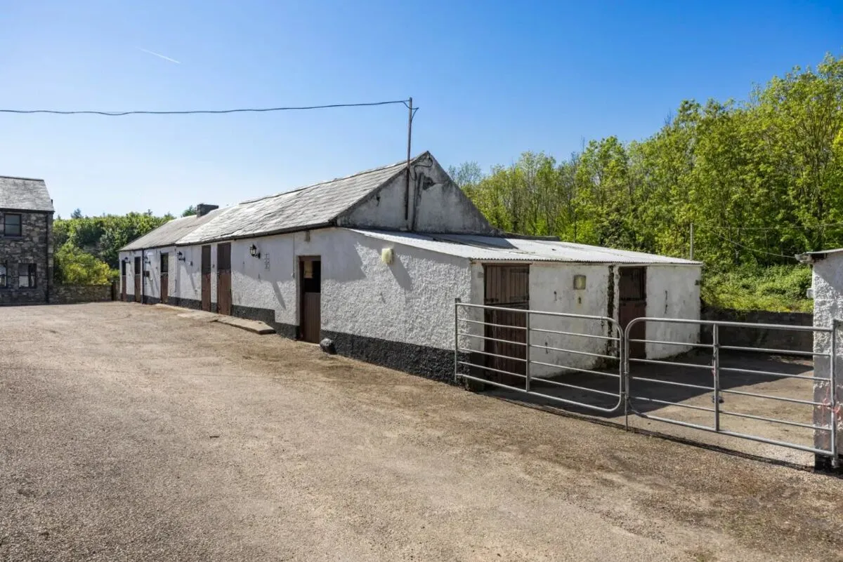 Lisbarnet Road, Lisbane, BT23, photo 64