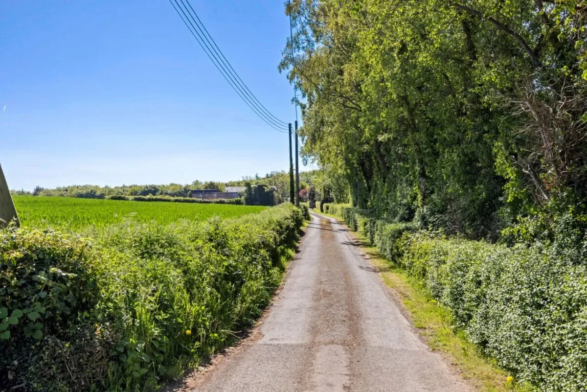 Lisbarnet Road, Lisbane, BT23, photo 73