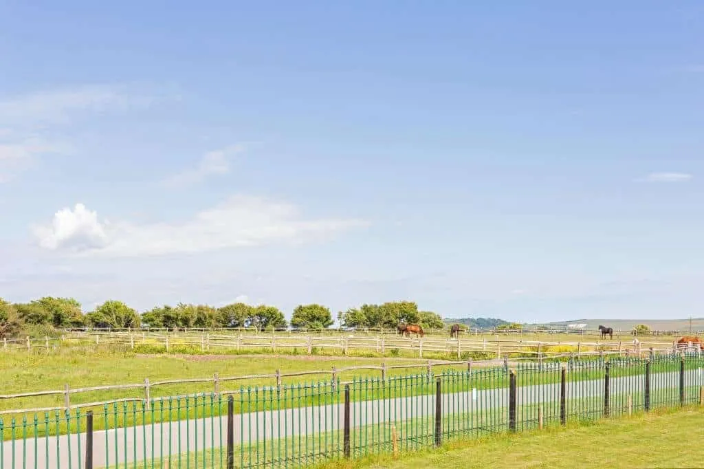 The Old Racecourse, Lewes, BN7, photo 19