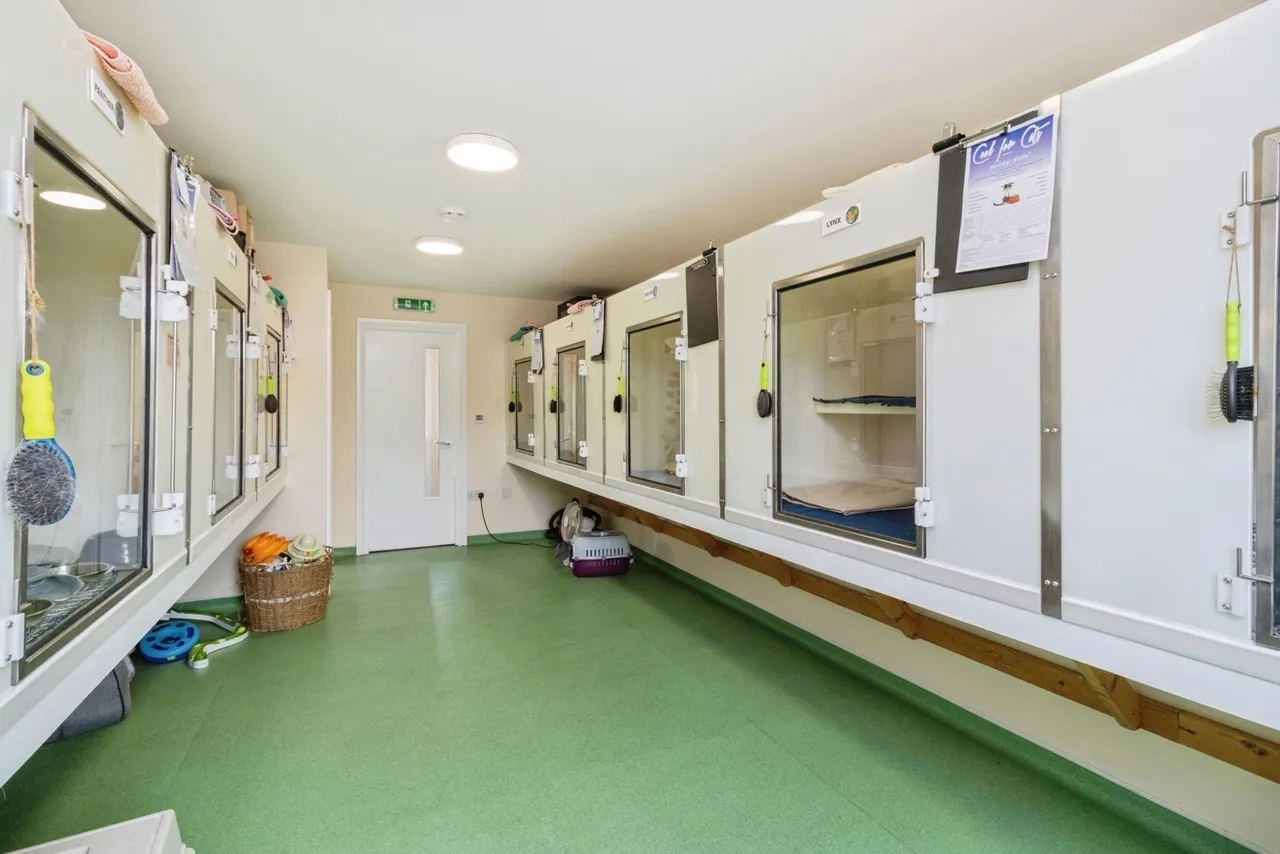Denbury Road, Ogwell, TQ12, photo 6
