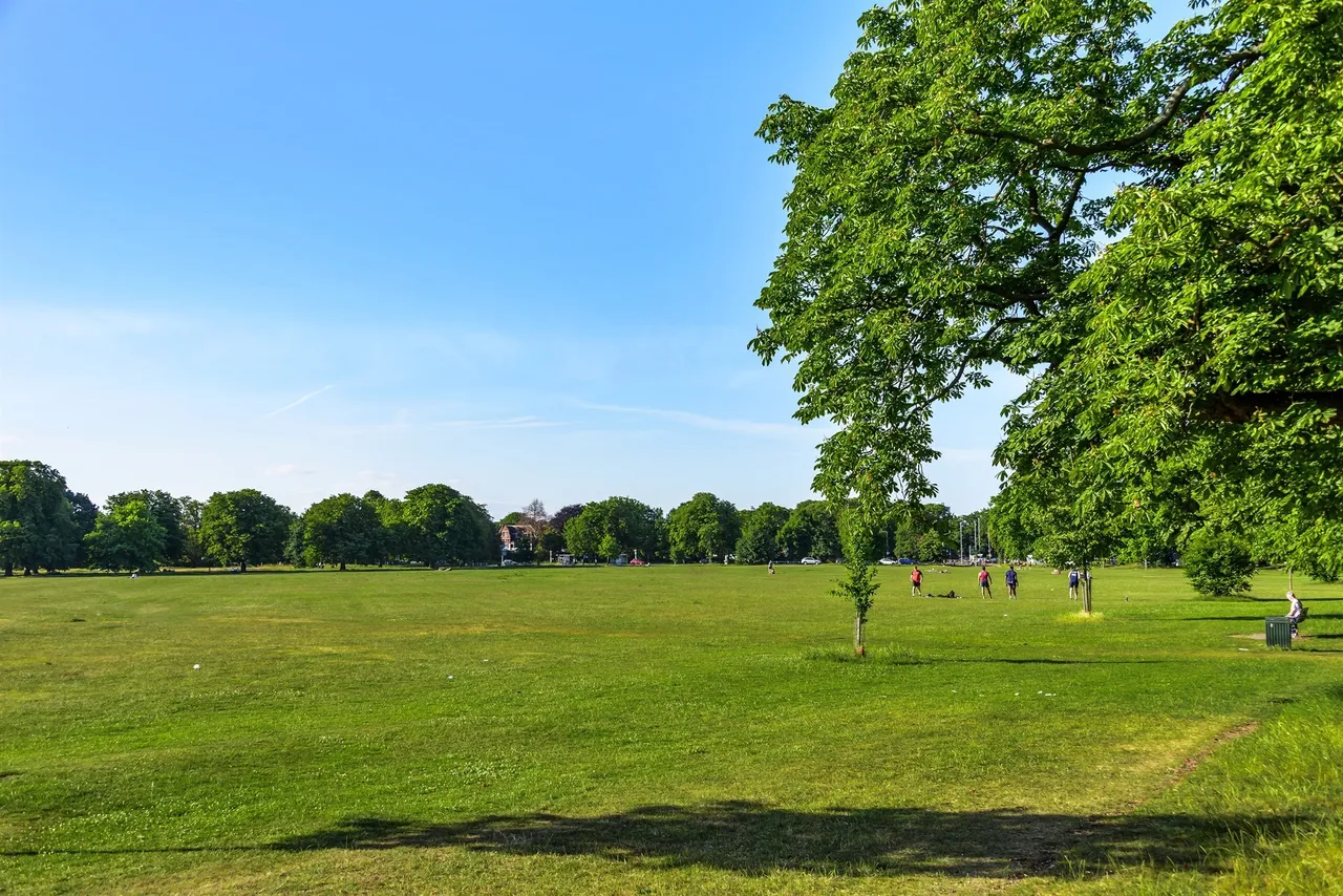 Windsor Road, London, W5, photo 8