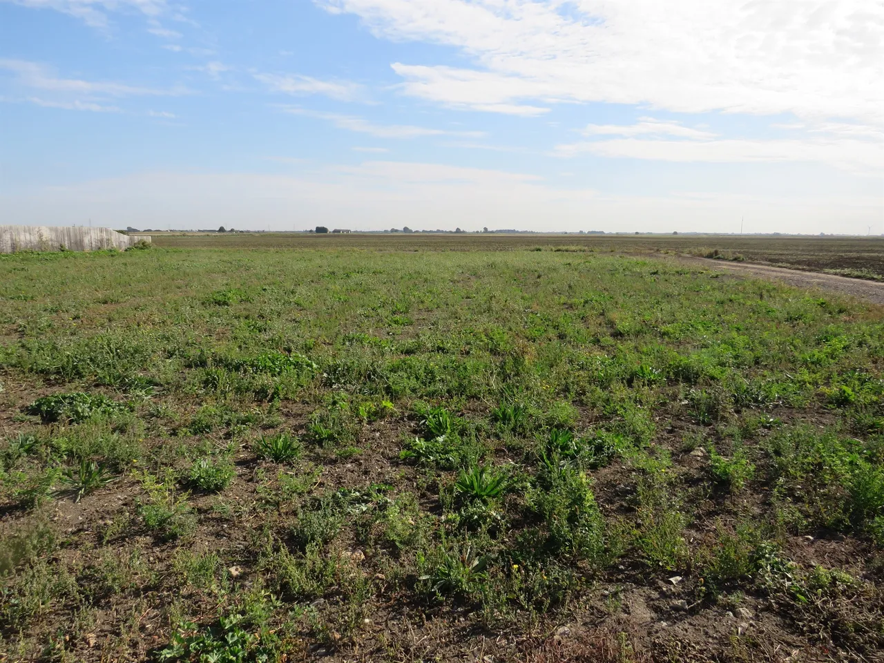 Whittlesey Road, March, PE15, photo 3