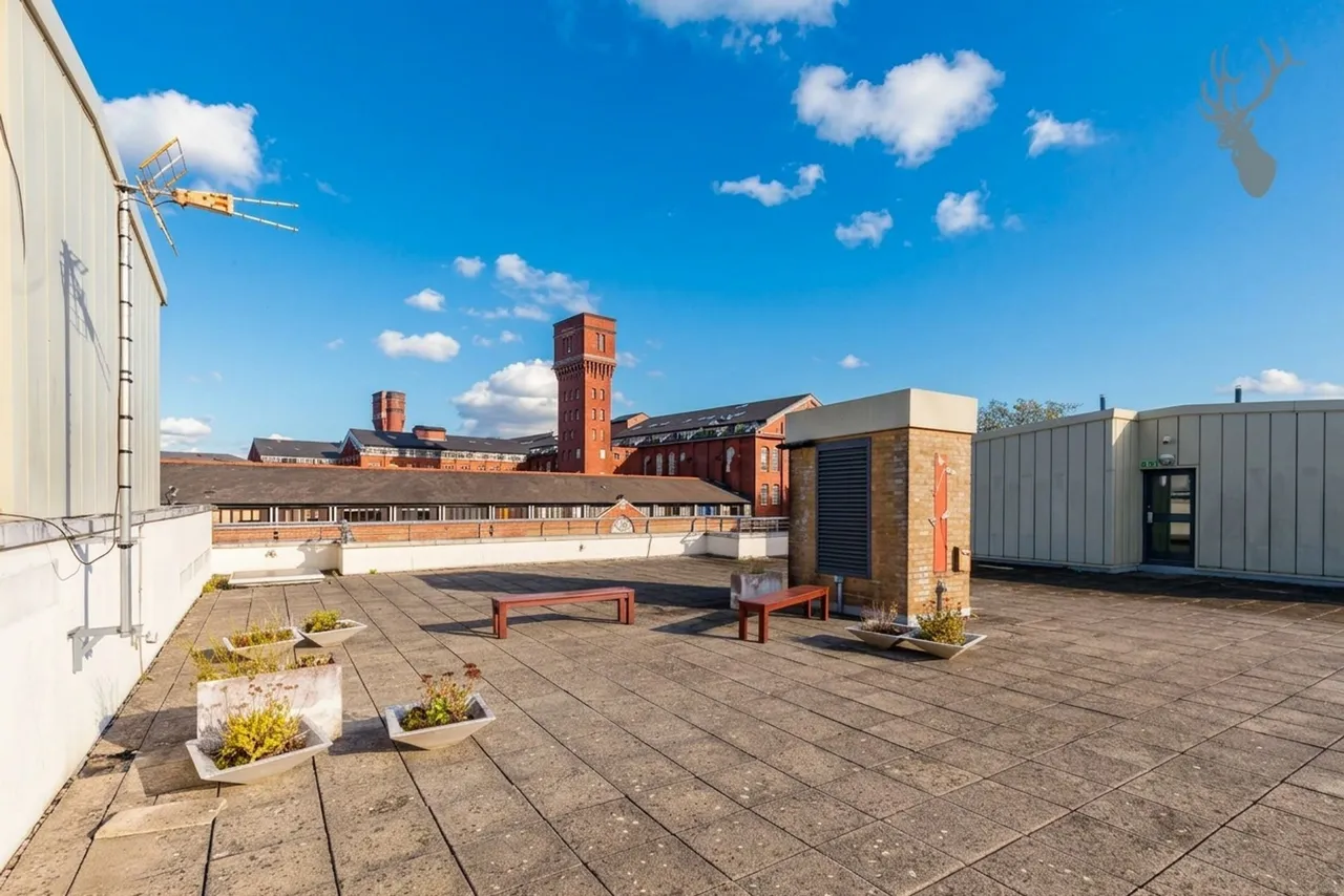 Fairfield Road, London, E3, photo 13