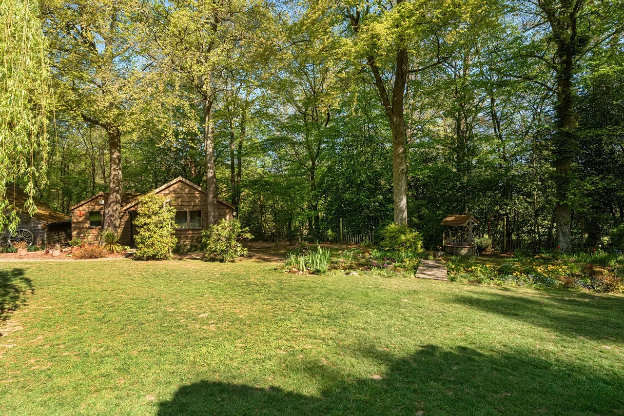 Standon Lane, Ockley, RH5, photo 19