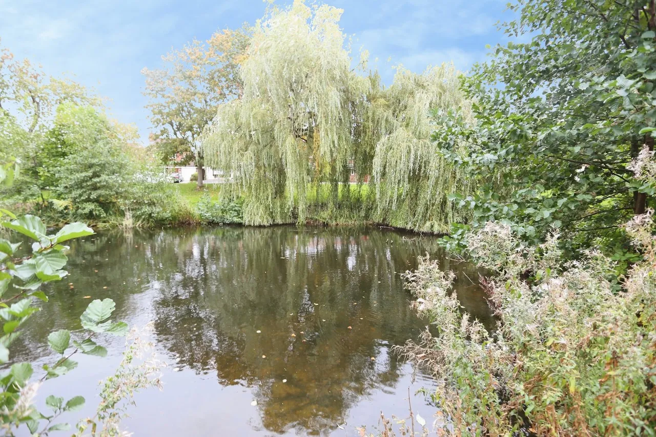 Bluestone Drive, Heaton Mersey, SK4, photo 14