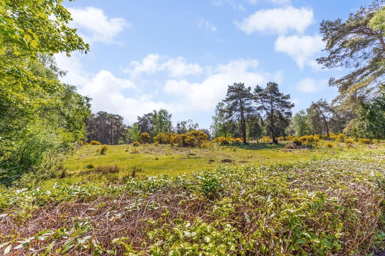 Drift Road, Whitehill, GU35, photo 9