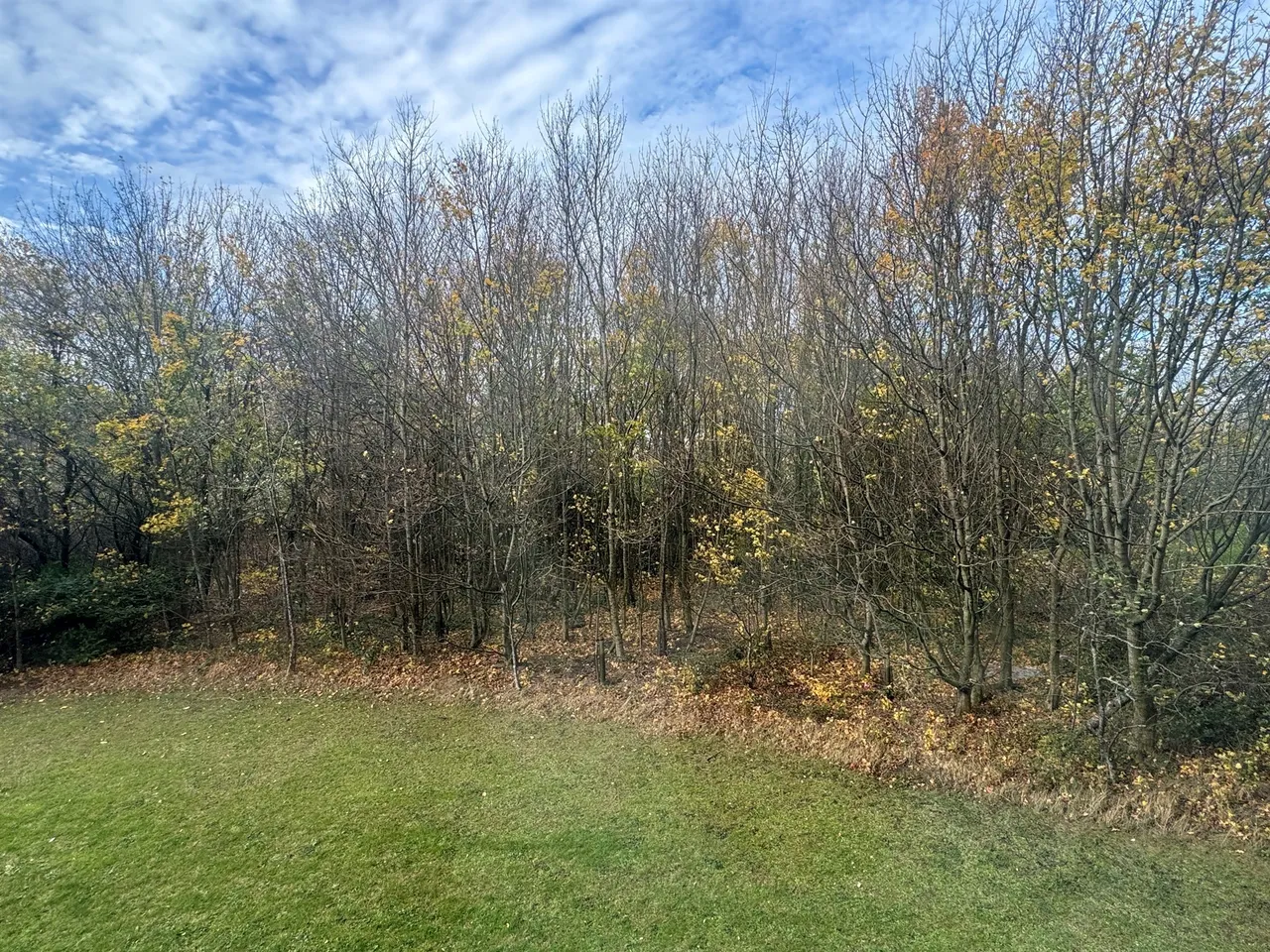 Staverton Grove, Broughton, MK10, photo 16