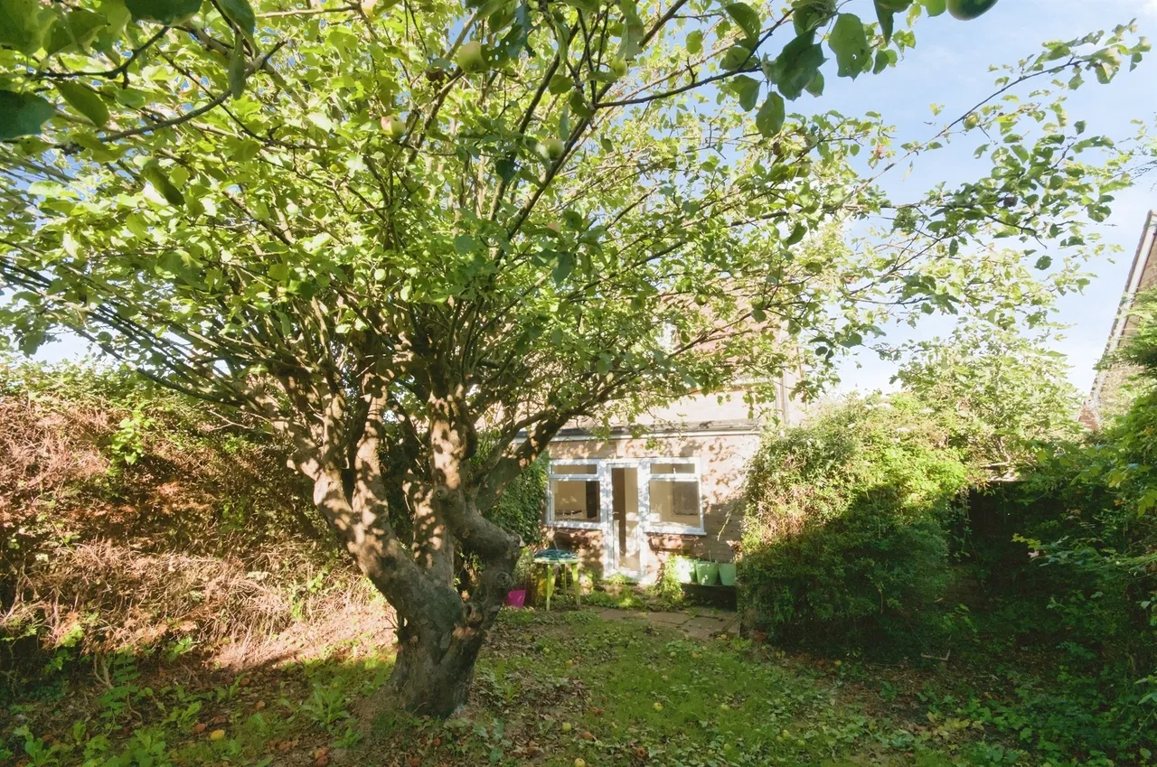 Greenleaf Gardens, Polegate, BN26, photo 14