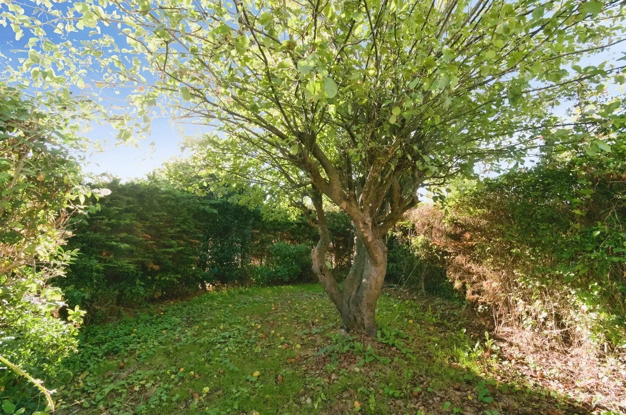 Greenleaf Gardens, Polegate, BN26, photo 13