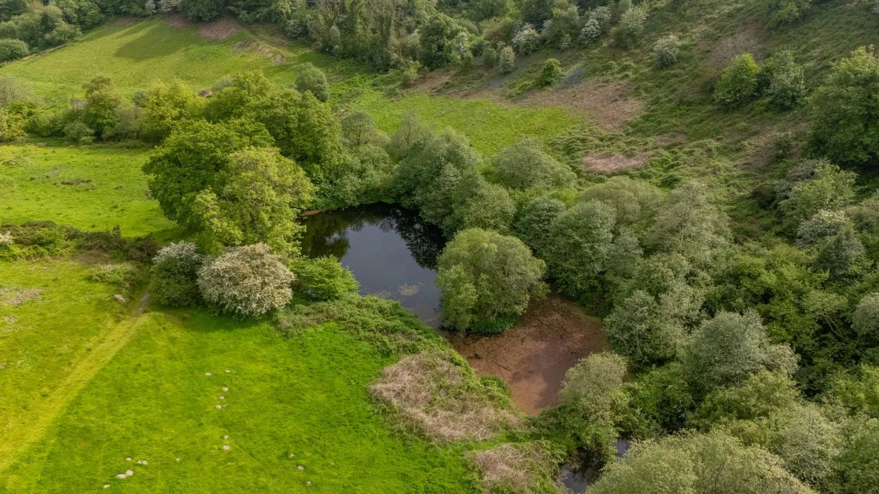 Panteg Cross, Llandysul, SA44, photo 45