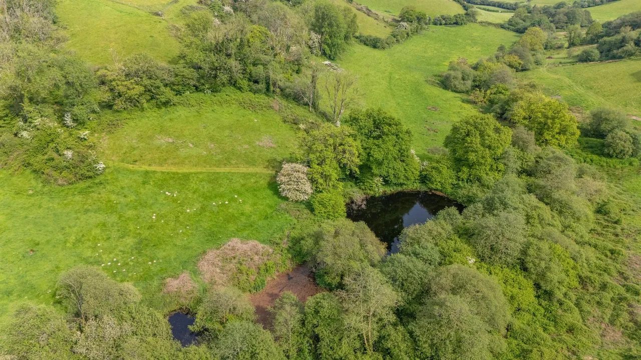 Panteg Cross, Llandysul, SA44, photo 47
