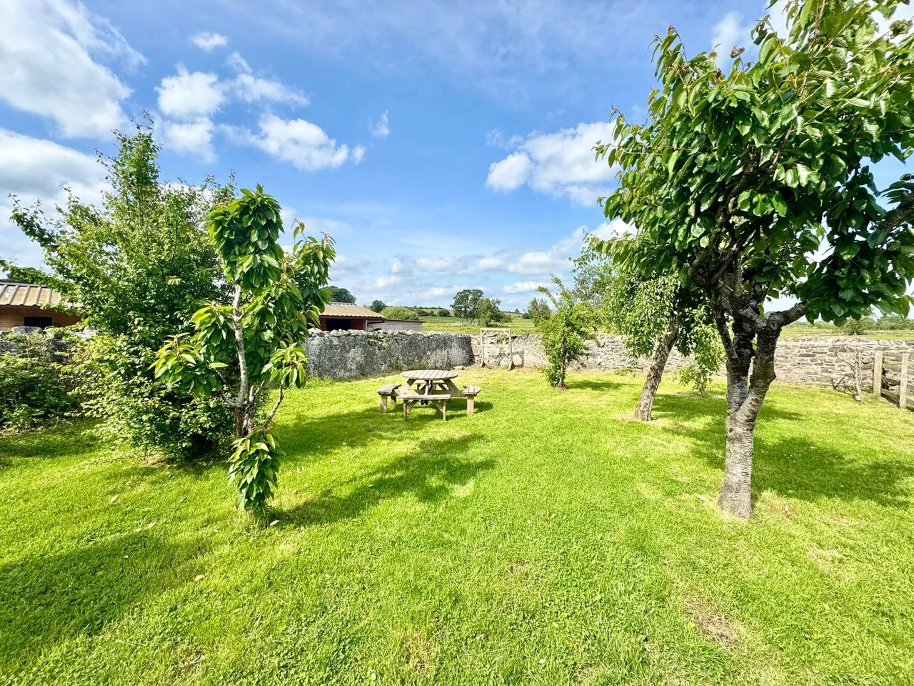 Glanirfon, Llanwrtyd Wells, Powys, LD5 4RR, photo 30