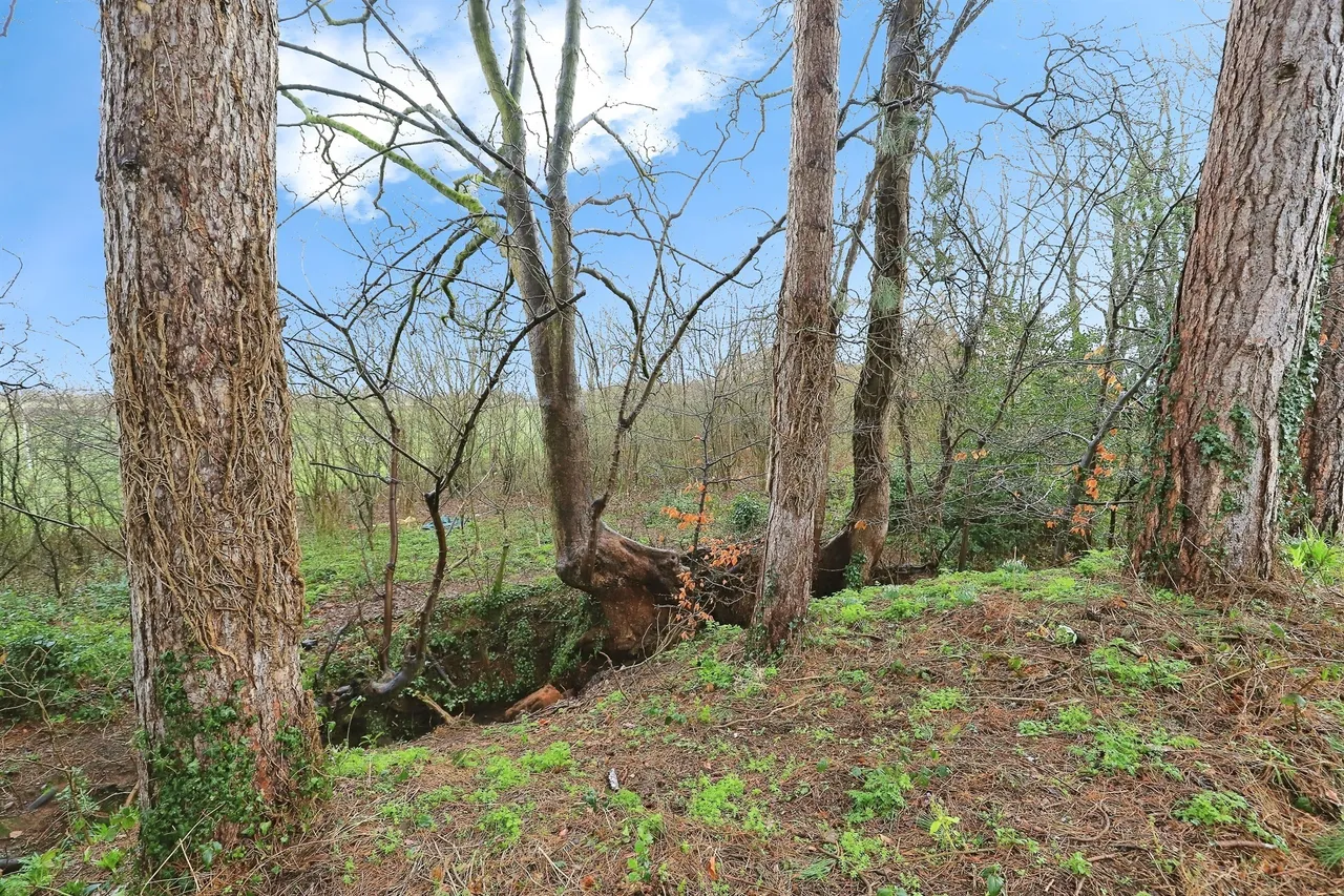 Winds Point, Hagley, DY9, photo 21