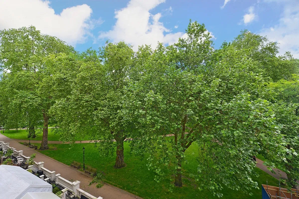 Princes Gate, South Kensington, SW7, photo 14