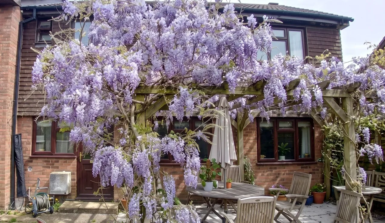 Apollo Drive, Bordon, GU35, photo 7