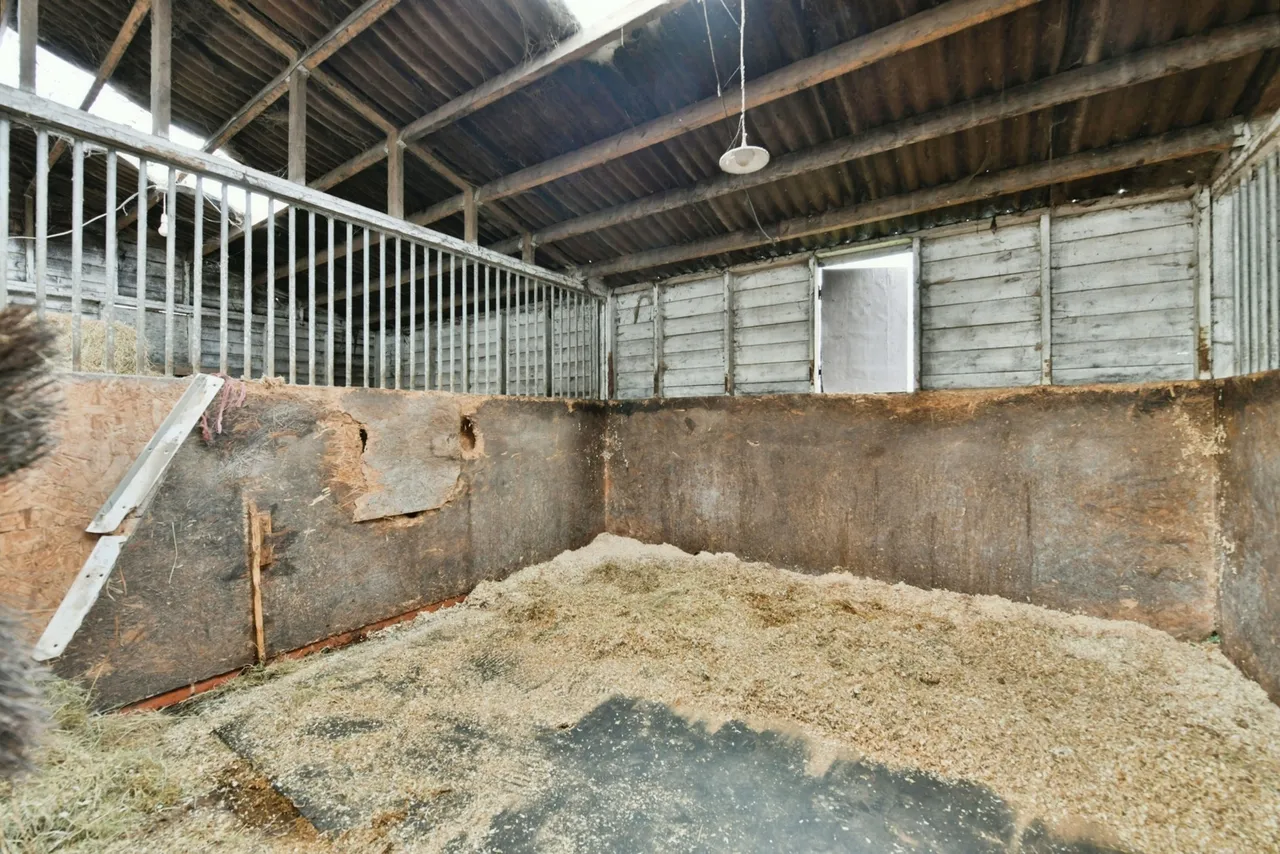 Dean, Shepton Mallet, BA4, photo 9