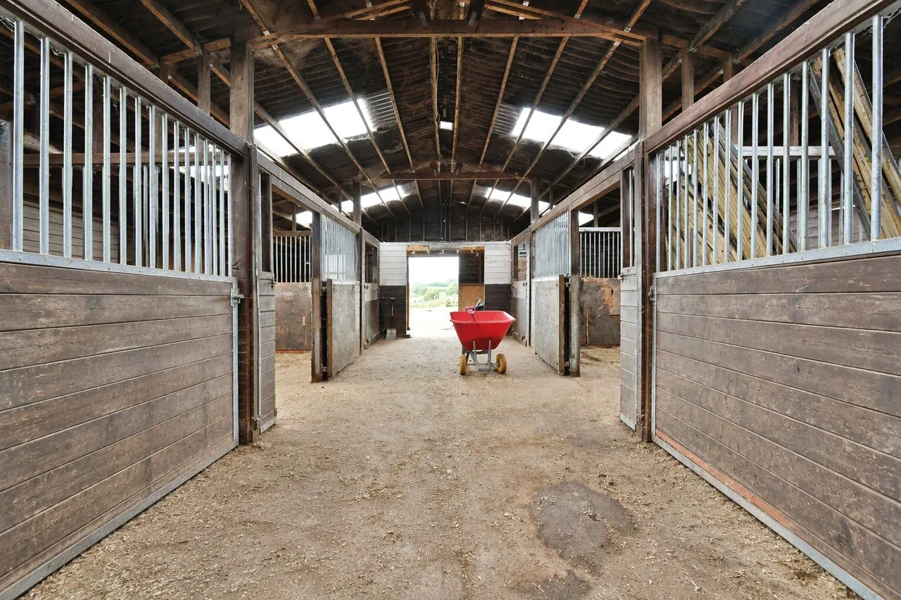 Dean, Shepton Mallet, BA4, photo 8