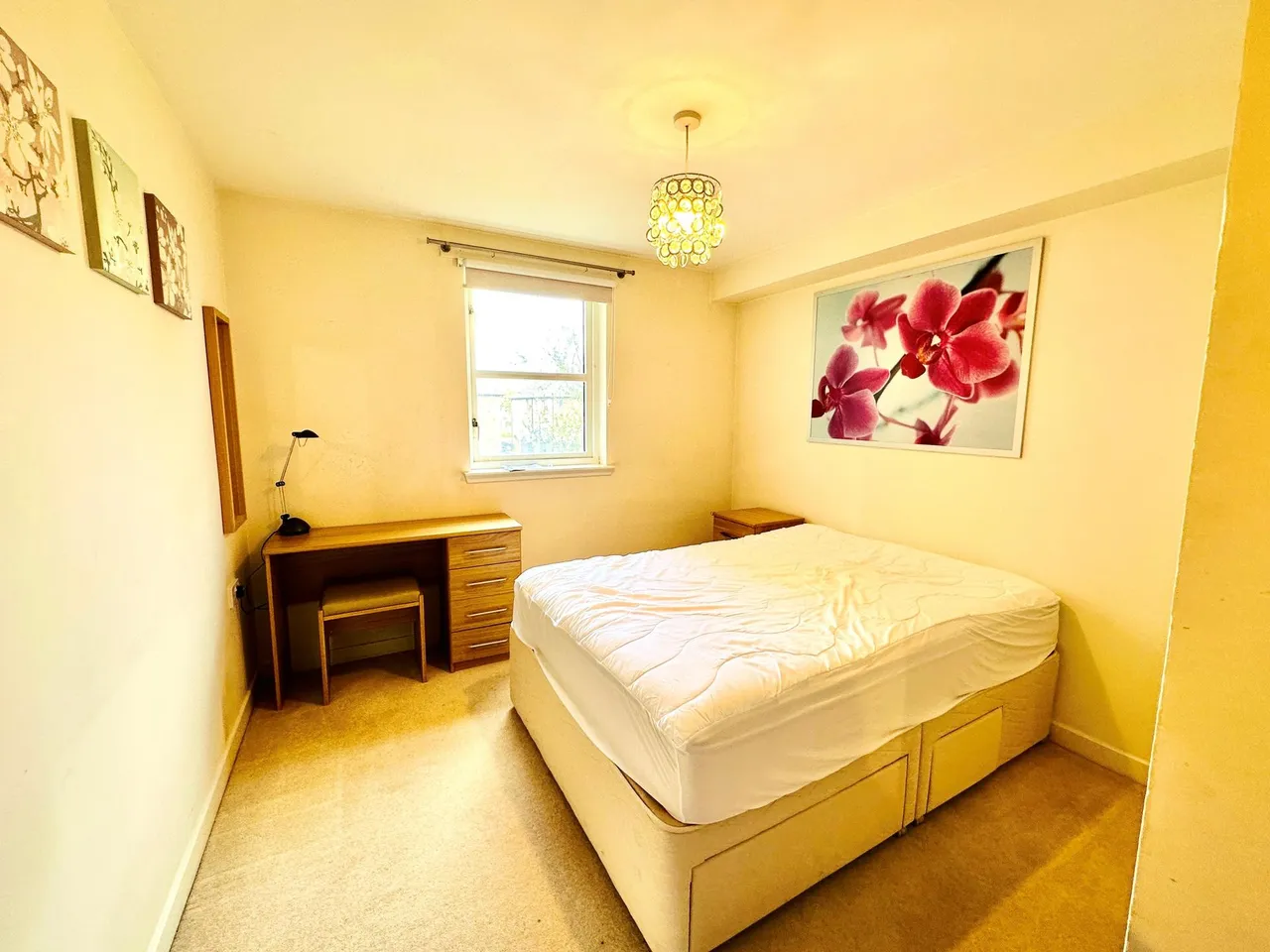 Regent Walk, Linksfield, AB24, photo 5