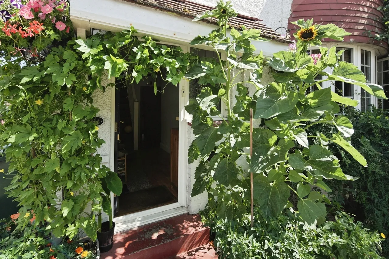 Carden Avenue, Brighton, BN1, photo 21