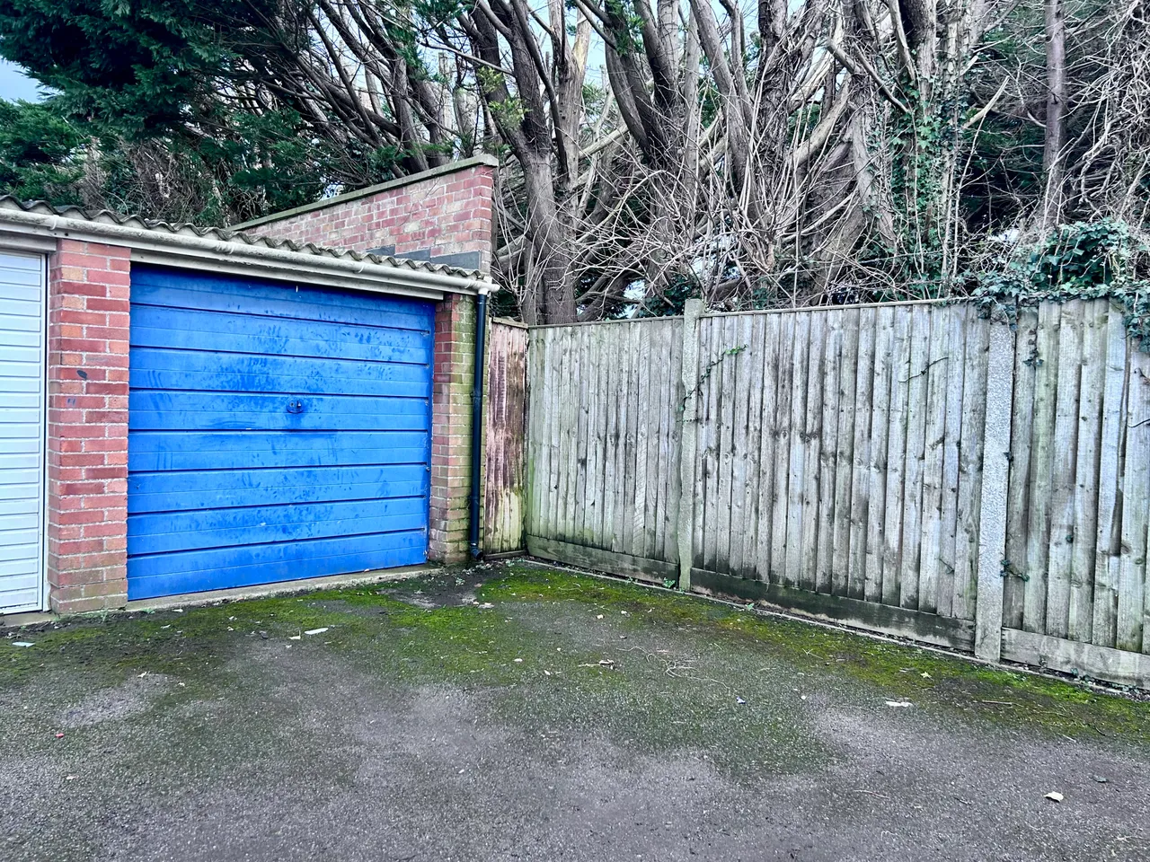 Kimberley Terrace, Bridgwater, photo 20