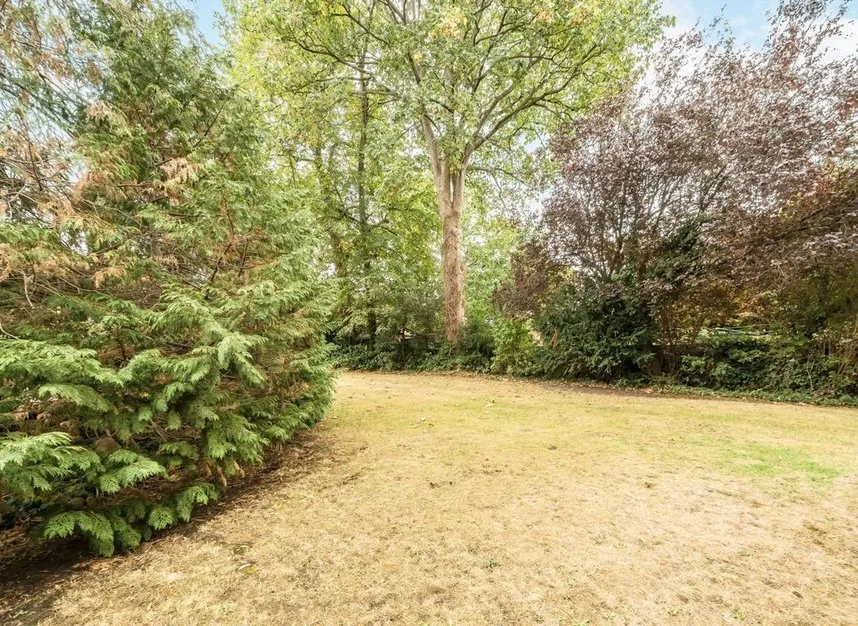 Maple Road, Surbiton, KT6, photo 6