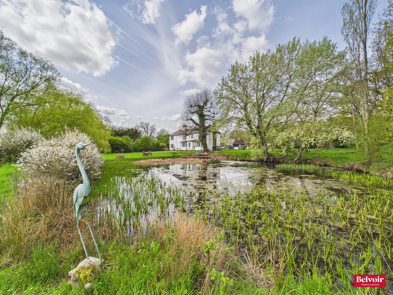 5 bed house for sale — Main Road, Bicknacre, Chelmsford, Essex, CM3