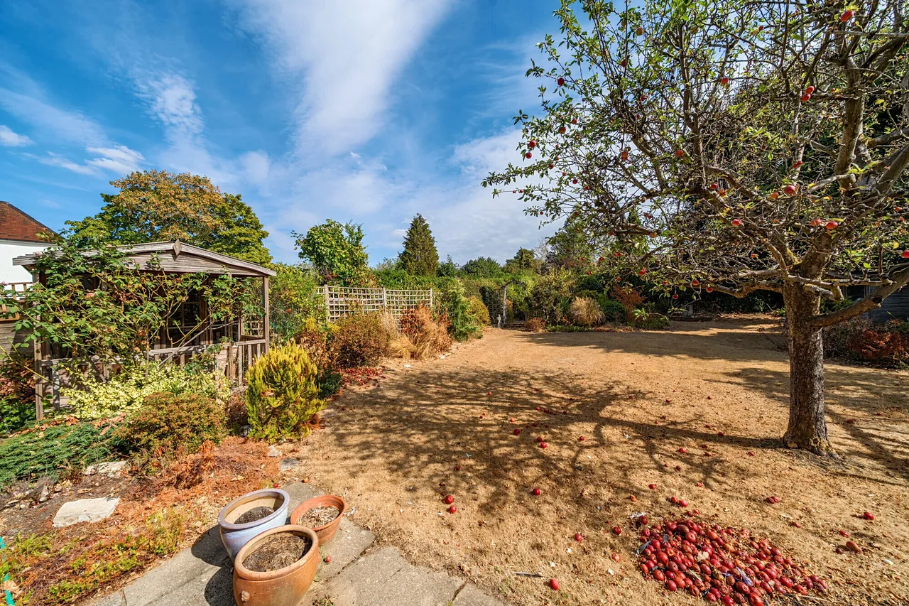 York Road, Farnham, GU9, photo 8