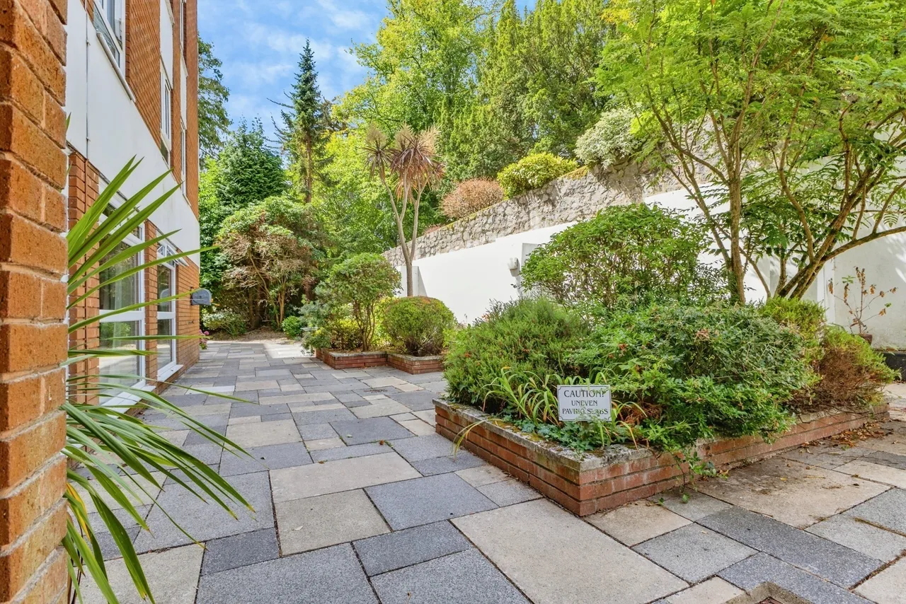 Asheldon Road, Torquay, TQ1, photo 18