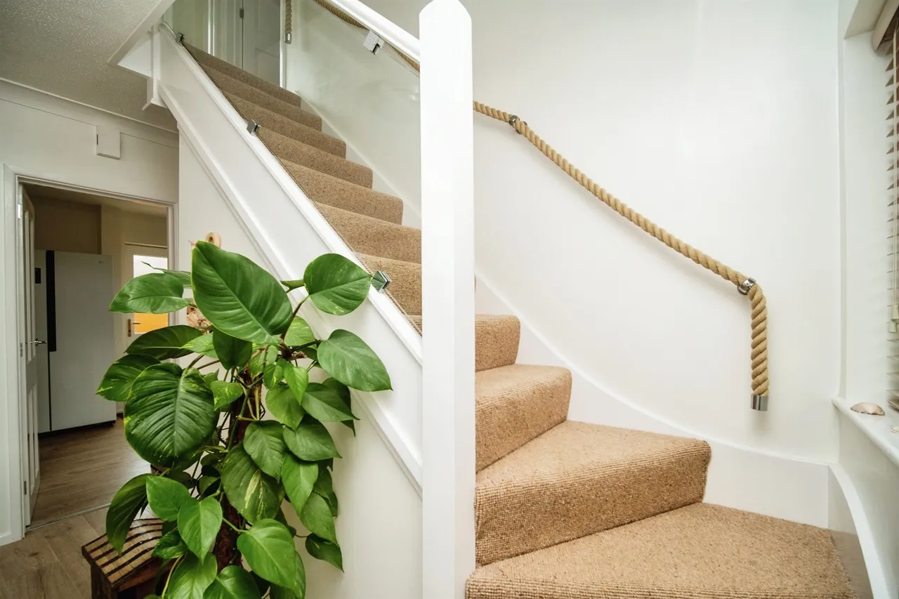 Maunsell Avenue, Preston, DT3, photo 6