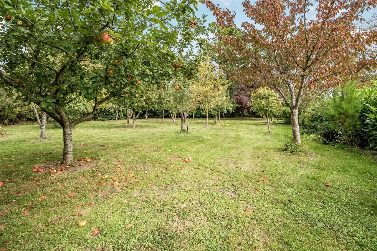 Hall Lane, Rushall, IP21, photo 20