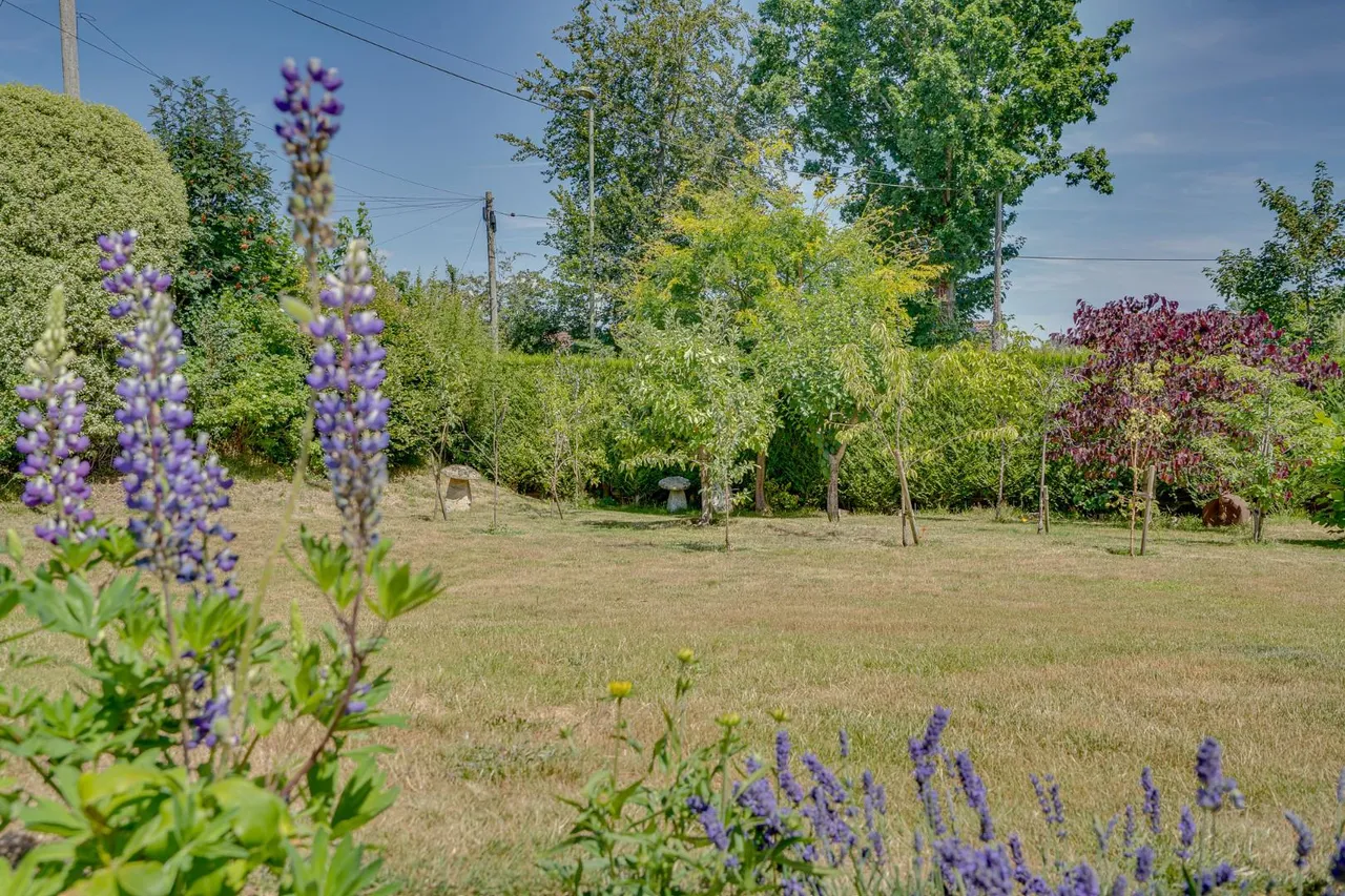 Botley Road, Fair Oak, Eastleigh, Hampshire, SO50 7AN, photo 17