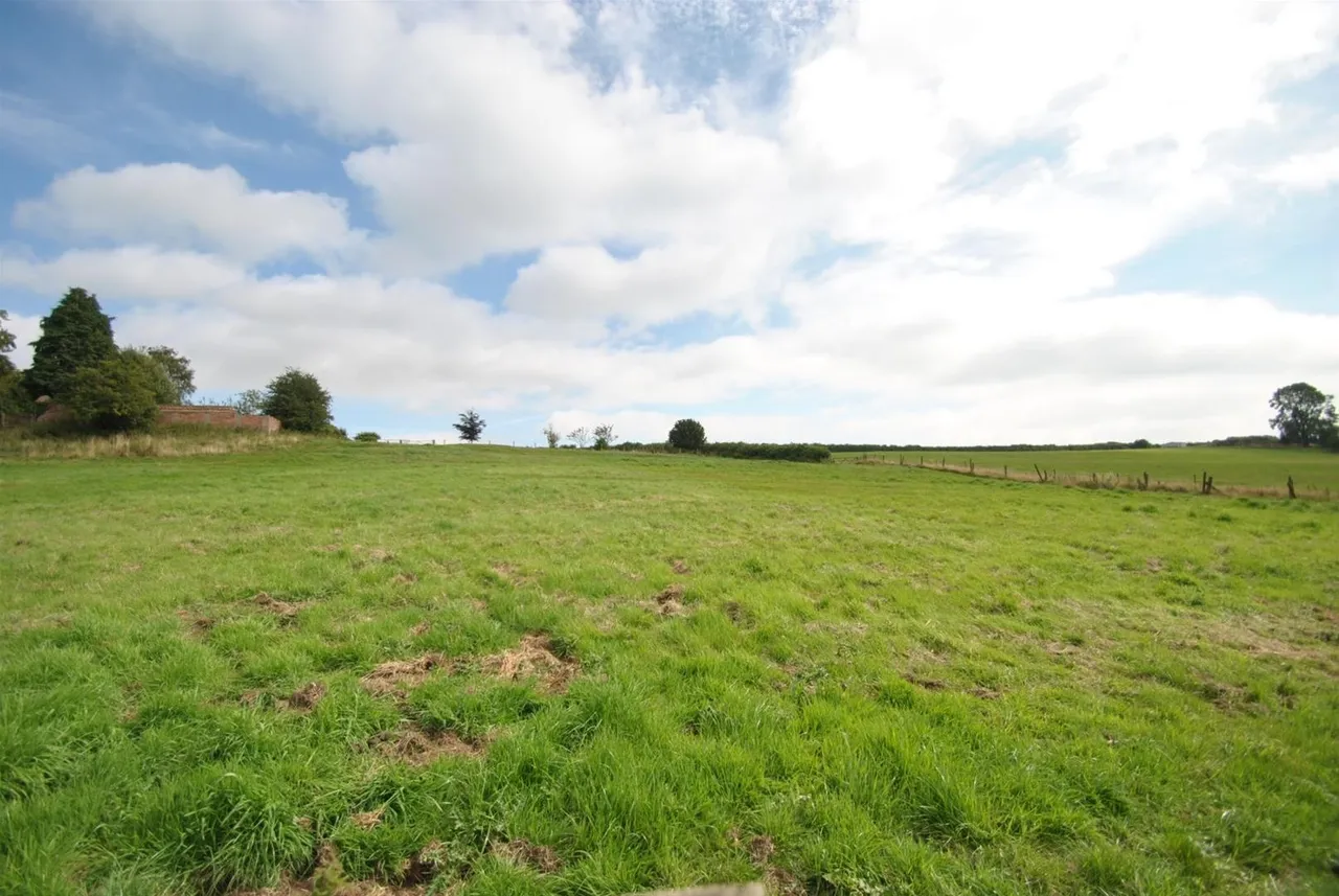 Sneyd Wood Road, Cinderford, GL14, photo 19