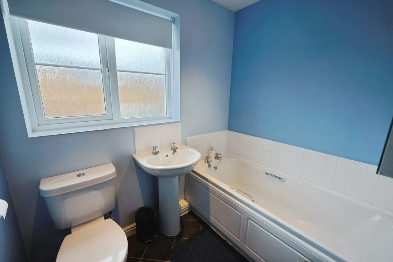 Celandine Way, Shildon, DL4, photo 13